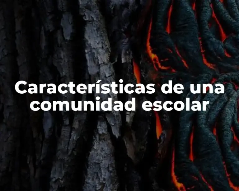 Características de una comunidad escolar