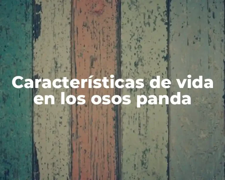 Características de vida en los osos panda