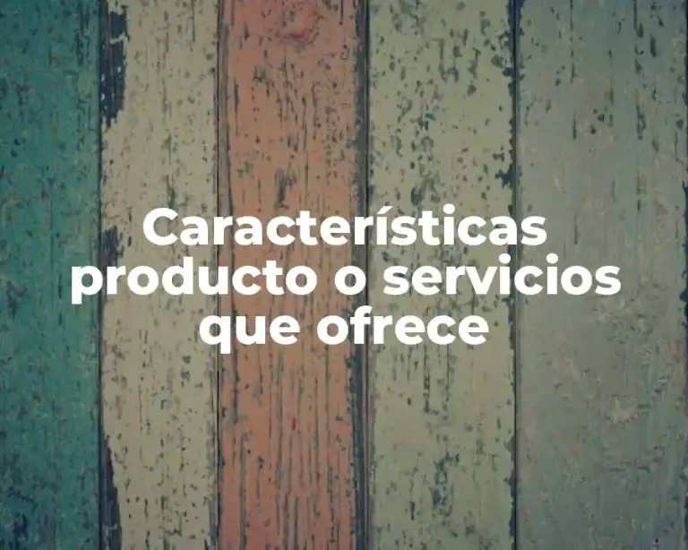 Características producto o servicios que ofrece