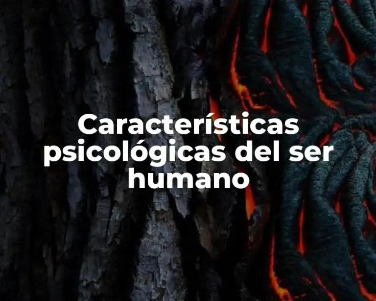 Características psicológicas del ser humano