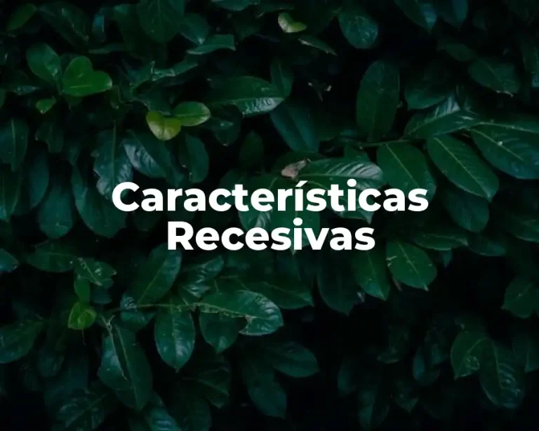 Características Recesivas