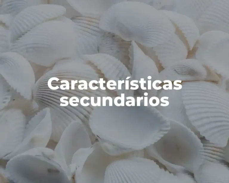 Características secundarios