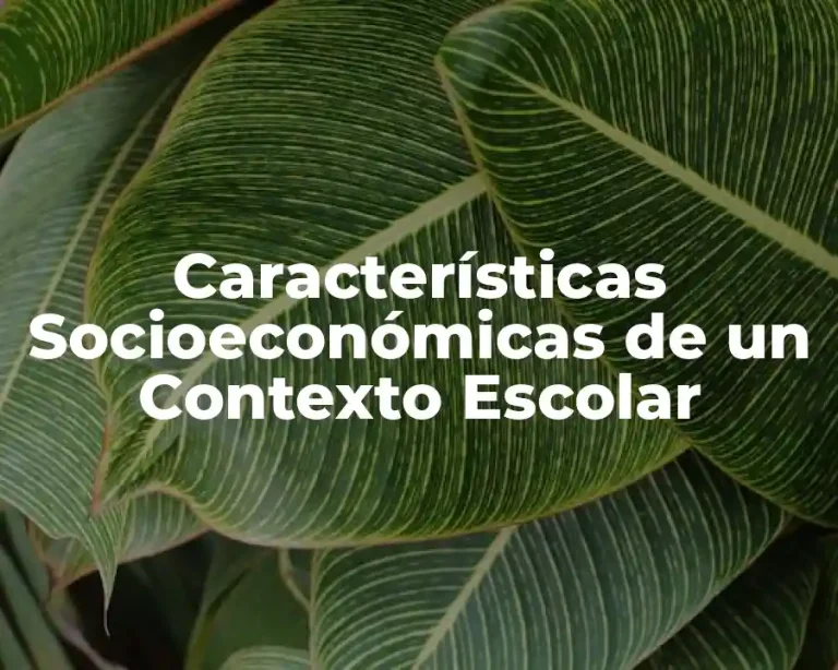 Características Socioeconómicas de un Contexto Escolar