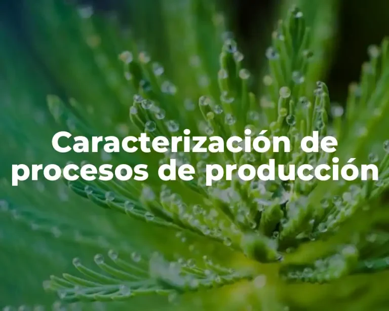 Caracterización de procesos de producción