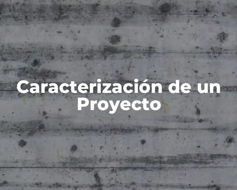 Caracterización de un Proyecto