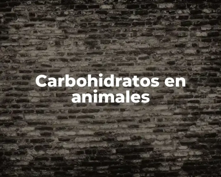 Carbohidratos en animales