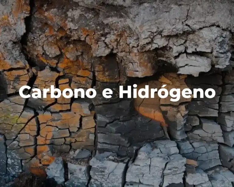 Carbono e Hidrógeno
