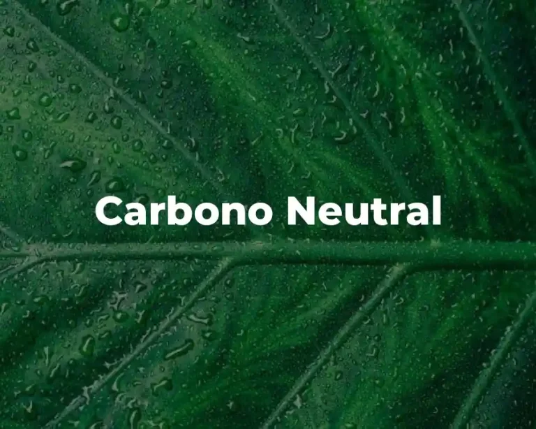 Carbono Neutral