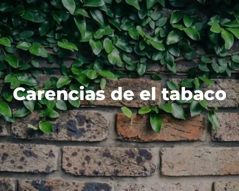 Carencias de el tabaco