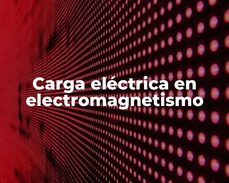 Carga eléctrica en electromagnetismo