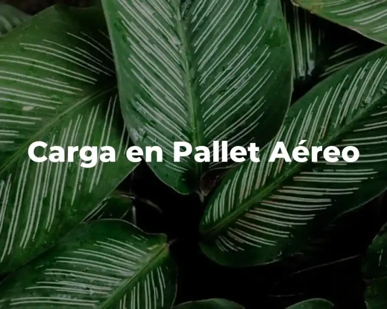 Carga en Pallet Aéreo
