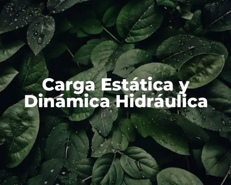 Carga Estática y Dinámica Hidráulica