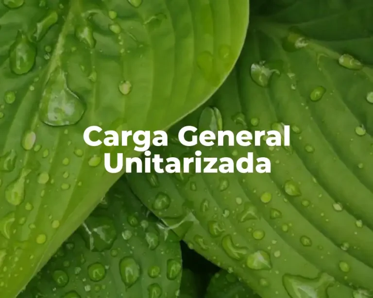 Carga General Unitarizada