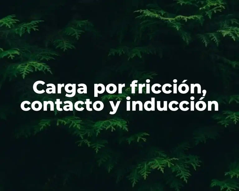 Carga por fricción, contacto y inducción
