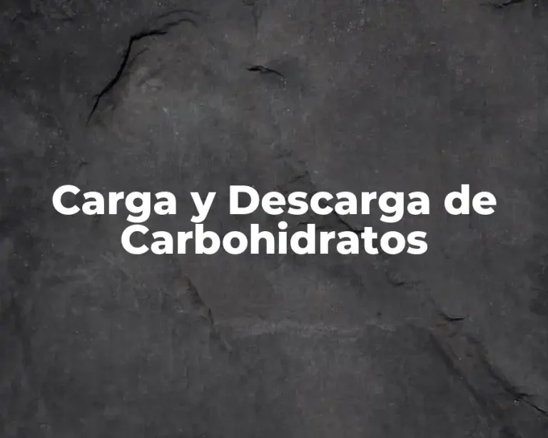 Carga y Descarga de Carbohidratos