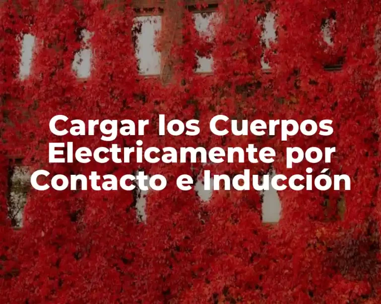 Cargar los Cuerpos Electricamente por Contacto e Inducción