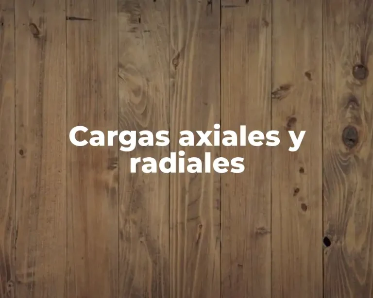 Cargas axiales y radiales