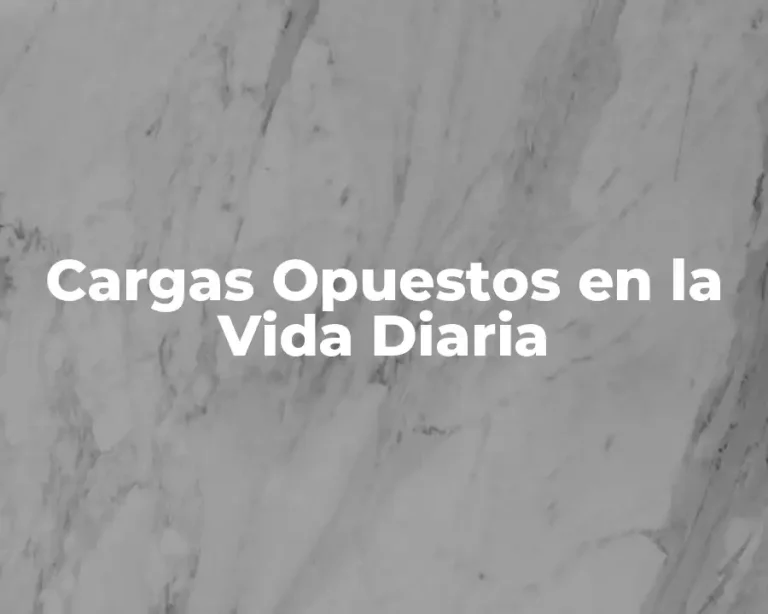 Cargas Opuestos en la Vida Diaria