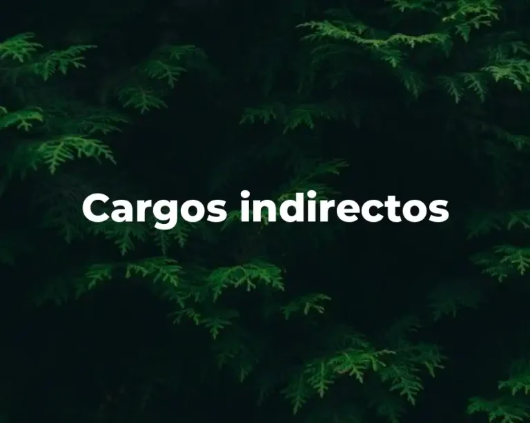 Cargos indirectos