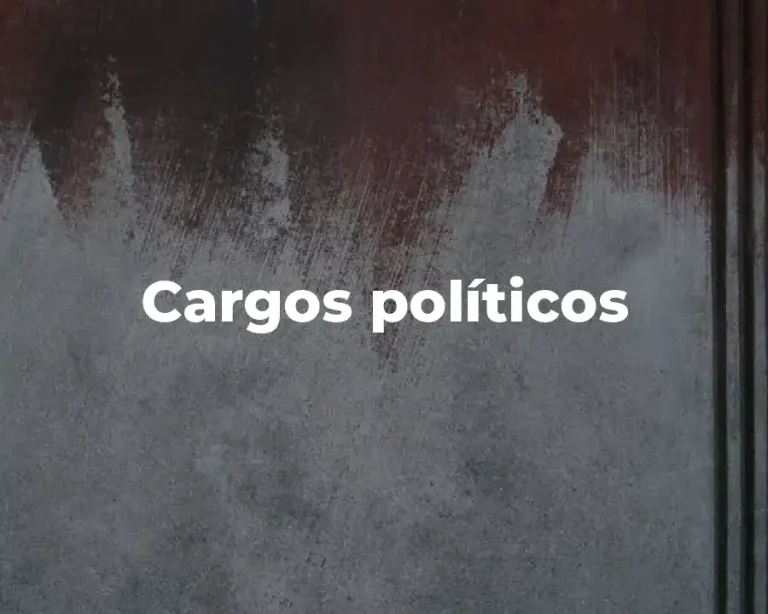Cargos políticos