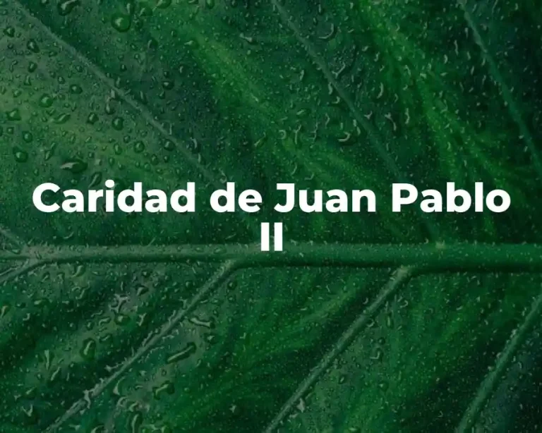 Caridad de Juan Pablo II