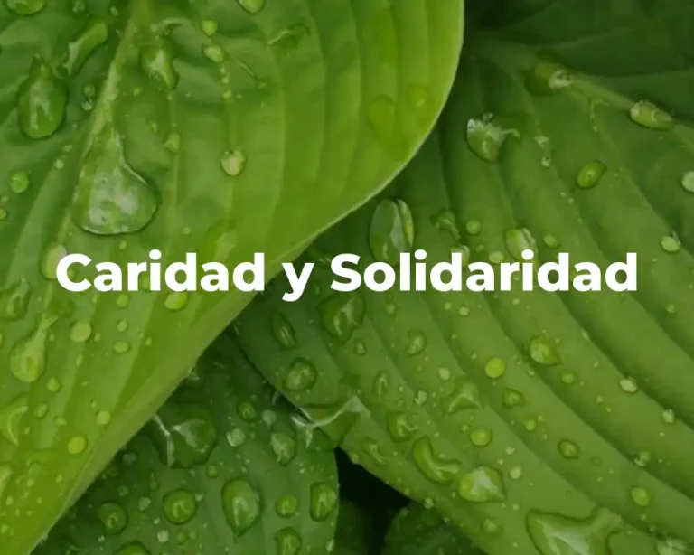 Caridad y Solidaridad