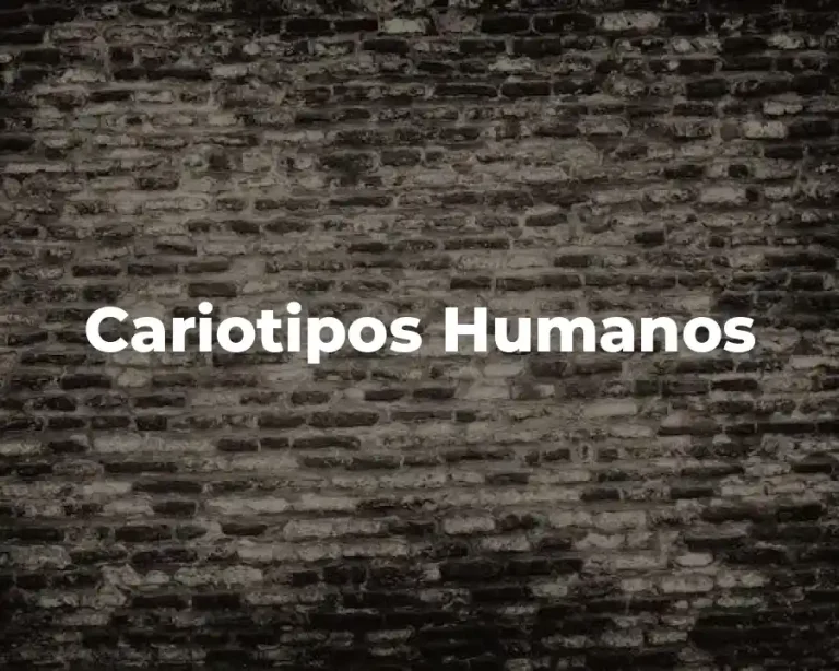 Cariotipos Humanos
