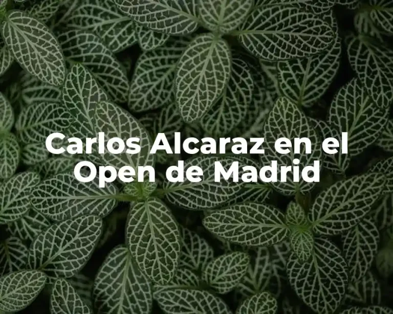 Carlos Alcaraz en el Open de Madrid