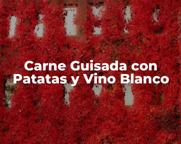 Carne Guisada con Patatas y Vino Blanco