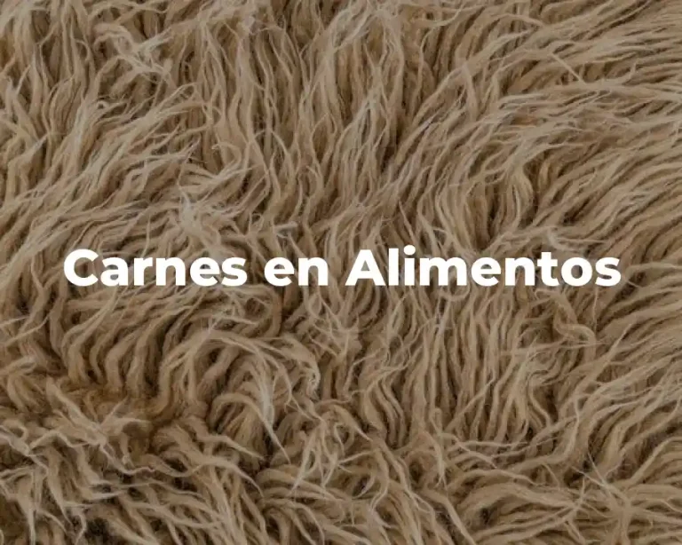 Carnes en Alimentos