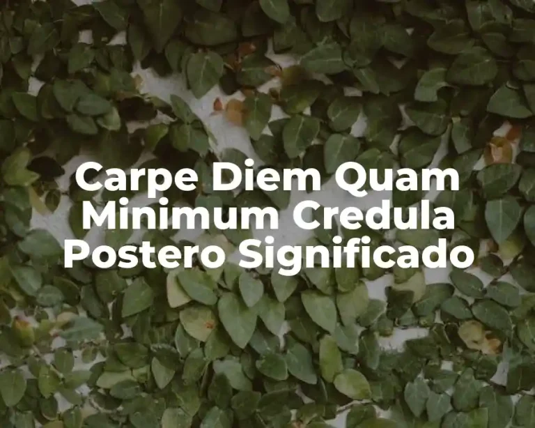 Carpe Diem Quam Minimum Credula Postero Significado