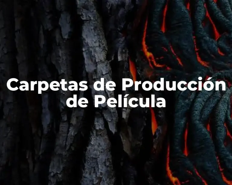 Carpetas de Producción de Película