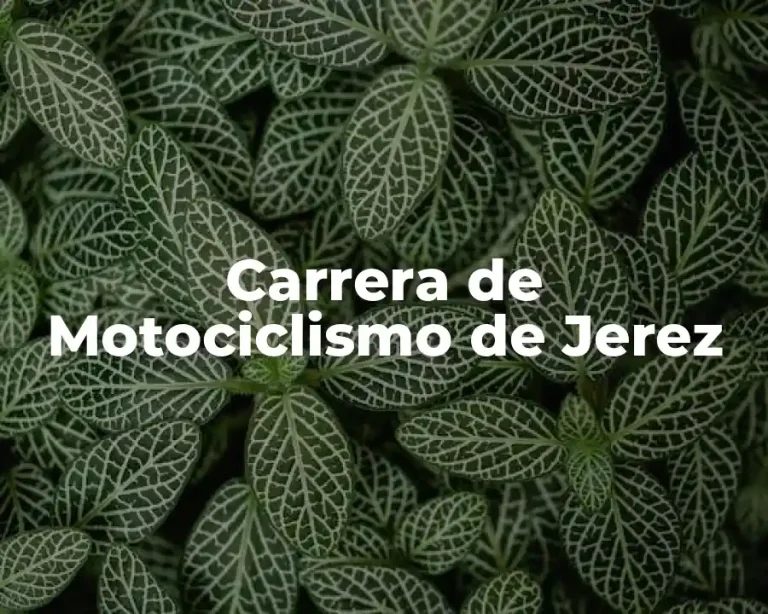Carrera de Motociclismo de Jerez