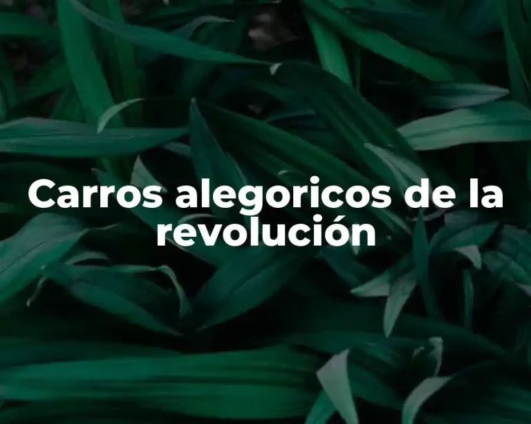 Carros alegoricos de la revolución