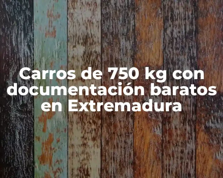 Carros de 750 kg con documentación baratos en Extremadura