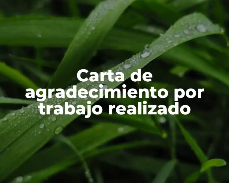 Carta de agradecimiento por trabajo realizado