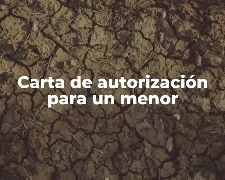 Carta de autorización para un menor
