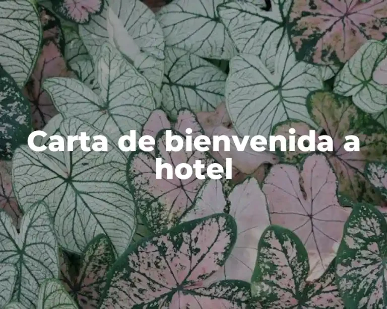 Carta de bienvenida a hotel