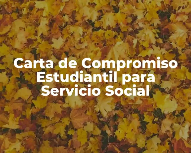 Carta de Compromiso Estudiantil para Servicio Social