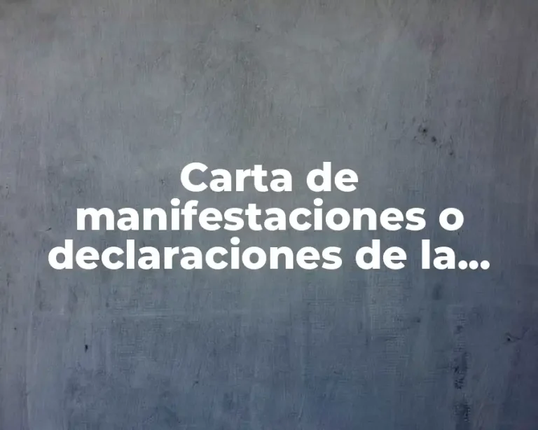 Carta de manifestaciones o declaraciones de la gerencia