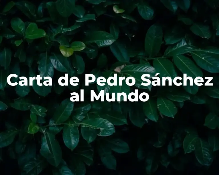 Carta de Pedro Sánchez al Mundo