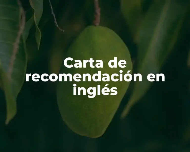 Carta de recomendación en inglés