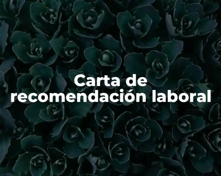 Carta de recomendación laboral