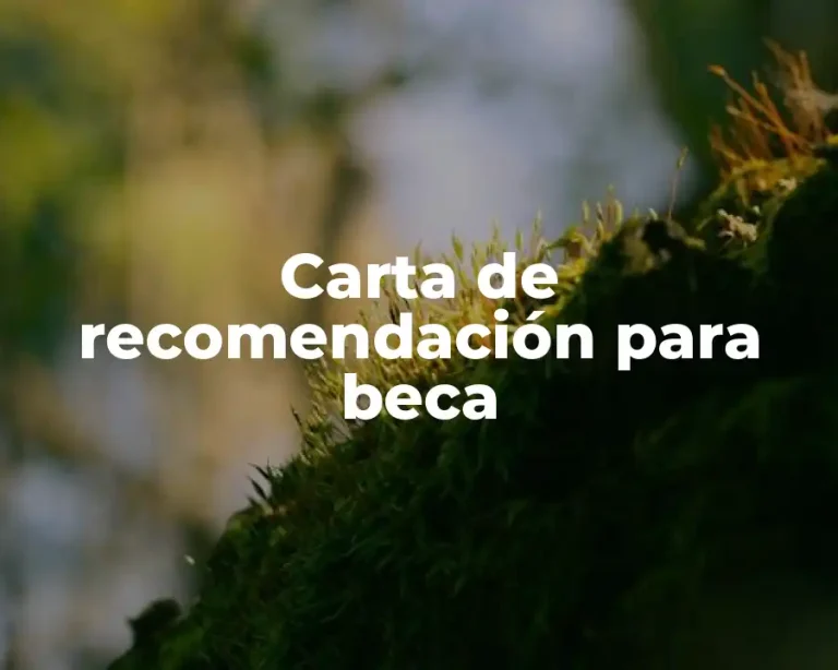 Carta de recomendación para beca