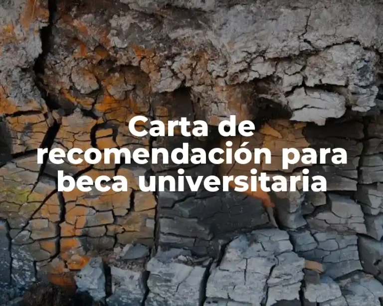 Carta de recomendación para beca universitaria