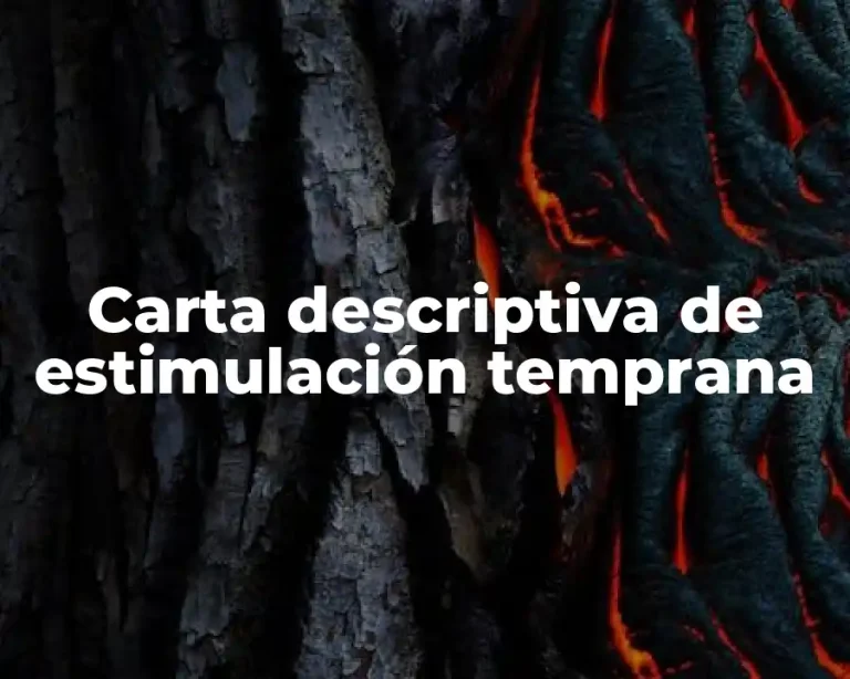 Carta descriptiva de estimulación temprana