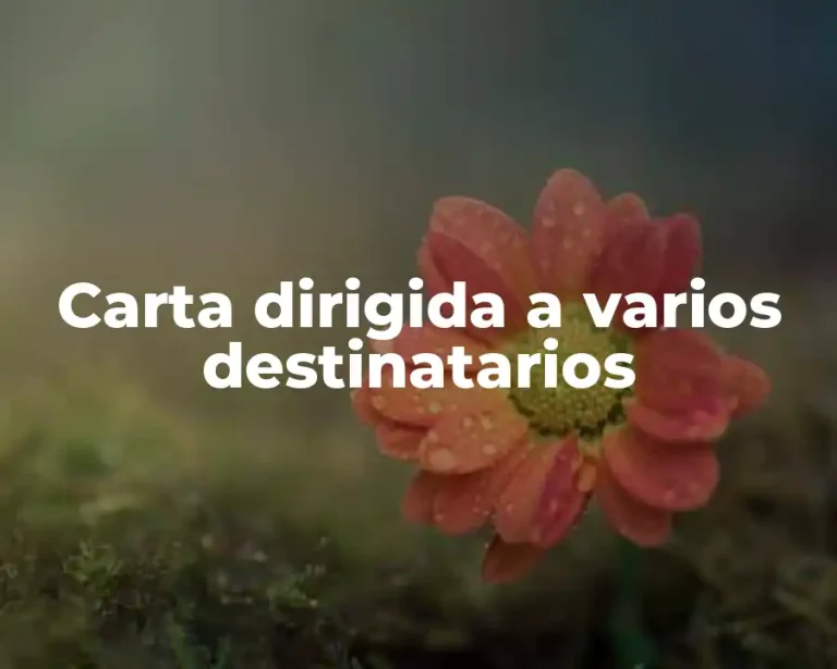 Carta dirigida a varios destinatarios