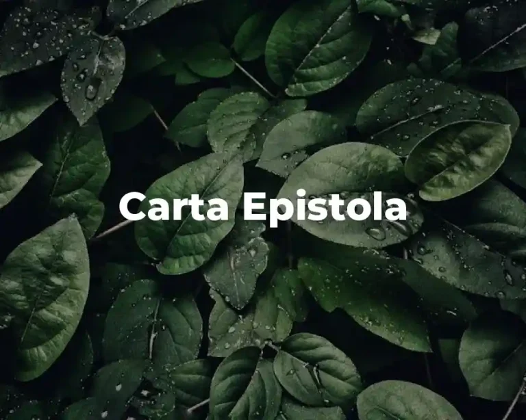 Carta Epistola