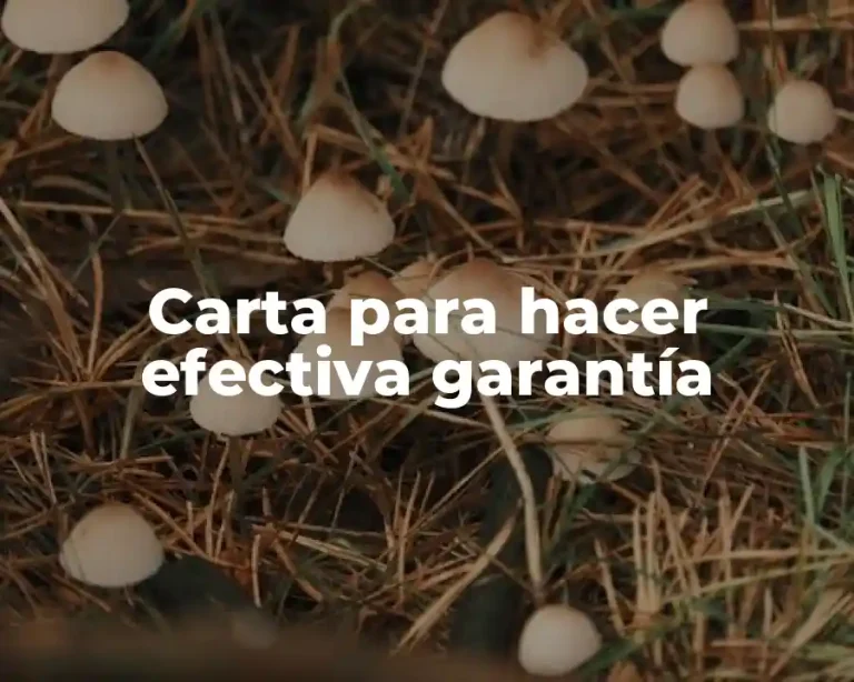 Carta para hacer efectiva garantía