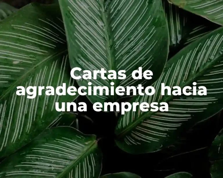 Cartas de agradecimiento hacia una empresa